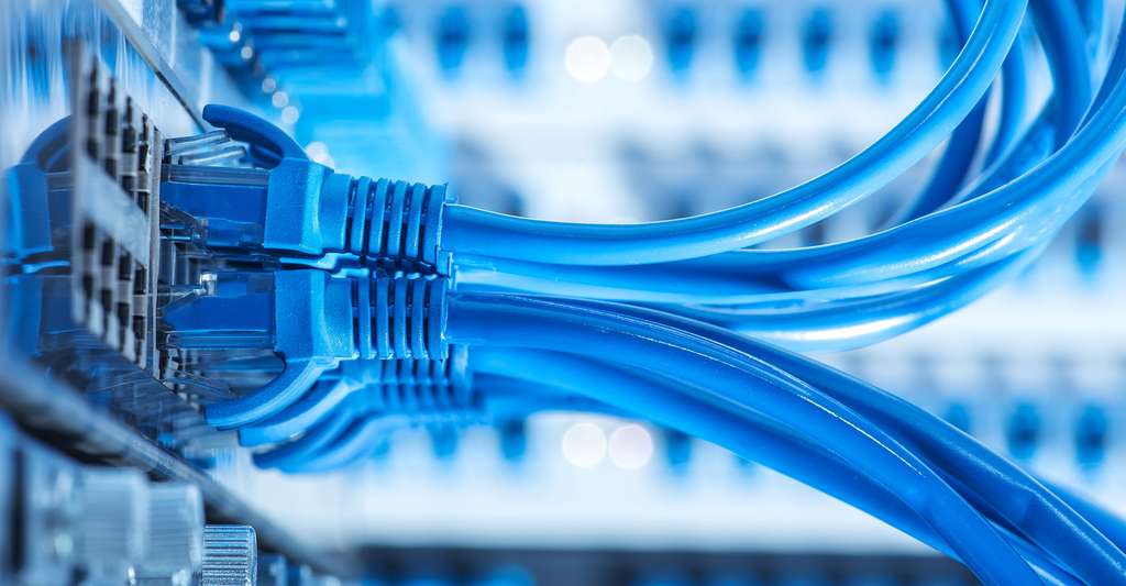 cd98f22ae6_97846_02-365